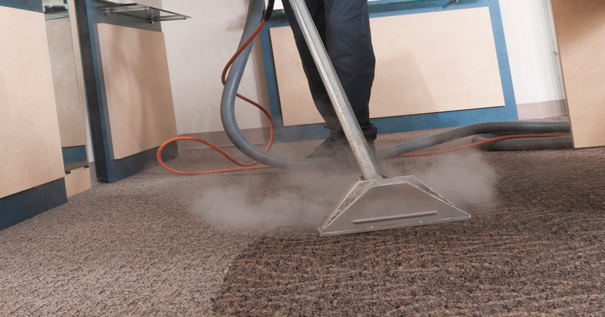 steam cleaning on carpet to remove pet stains