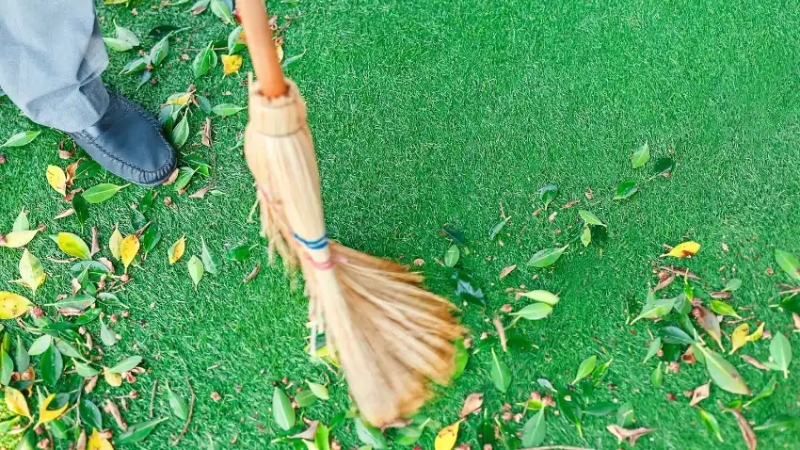 Removing Dirt and Debris from Grass Carpet