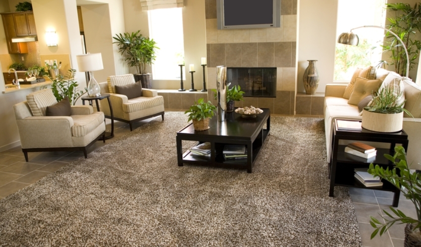 Top 8 Living Room Carpet Ideas to Transform Your Space