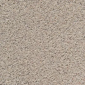 Bronze Cricket Carpets