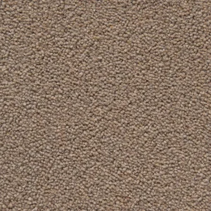 Cedar Office Carpet