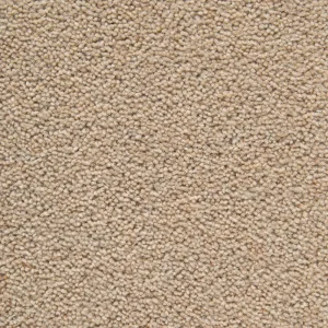 Chestnut Carpet