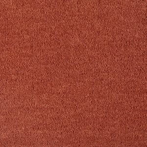Dream - 321 Cognac Carpets