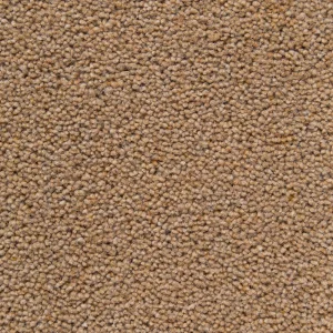 Farmhouse Office Carpet