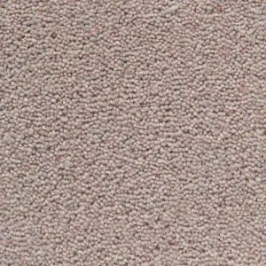 Fayre Office Carpet