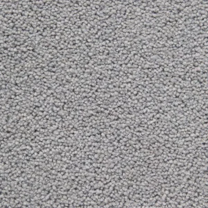 Footpath Office Carpet