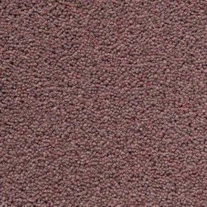Pathway Office Carpet