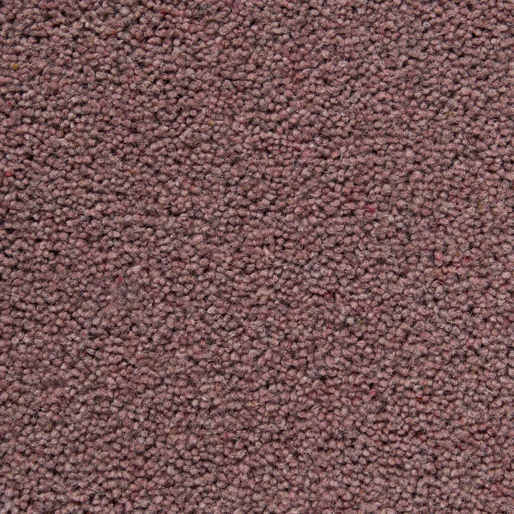 Pathway Office Carpet