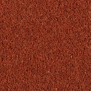 Pentwist - Salsa Carpets